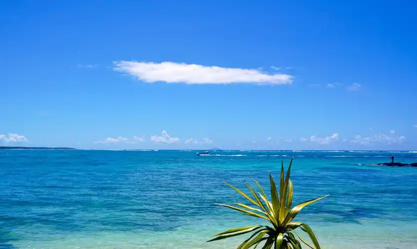 其它 毛里求斯旅游(二)—海景毛里求斯最美的地方是海景.