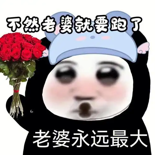 熊猫头表情包丨老婆永远最大