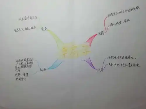 阳光阅读,共享成长!——《草房子》人物简介思维导图