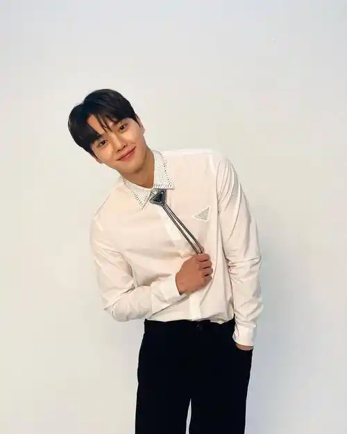 盘点13位「邻家男孩感」韩国男神欧巴,崔宇植,金宣虎上榜