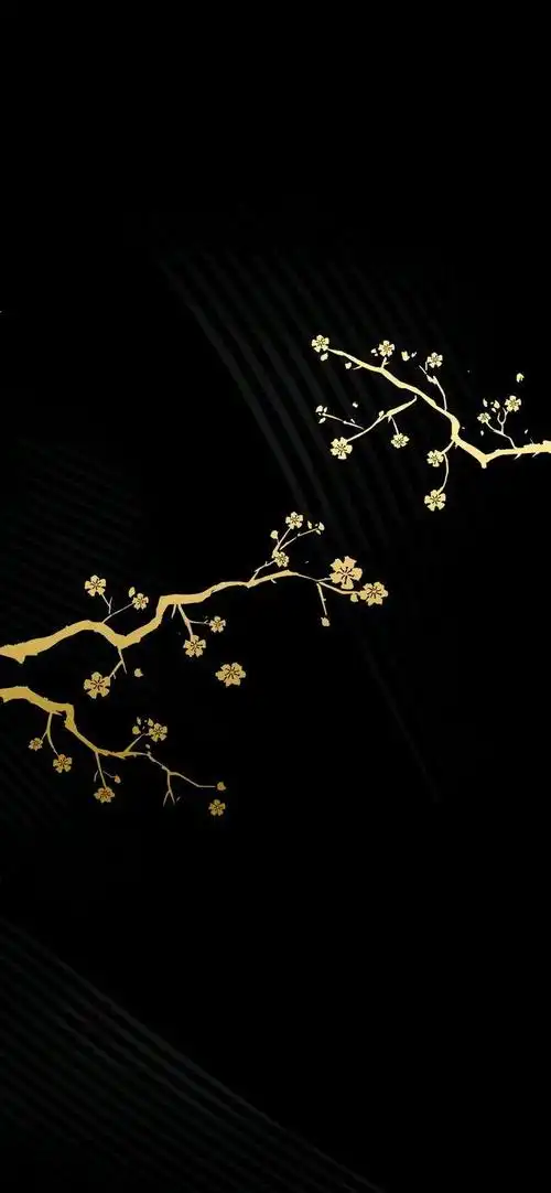 壁纸@黑金系列壁纸