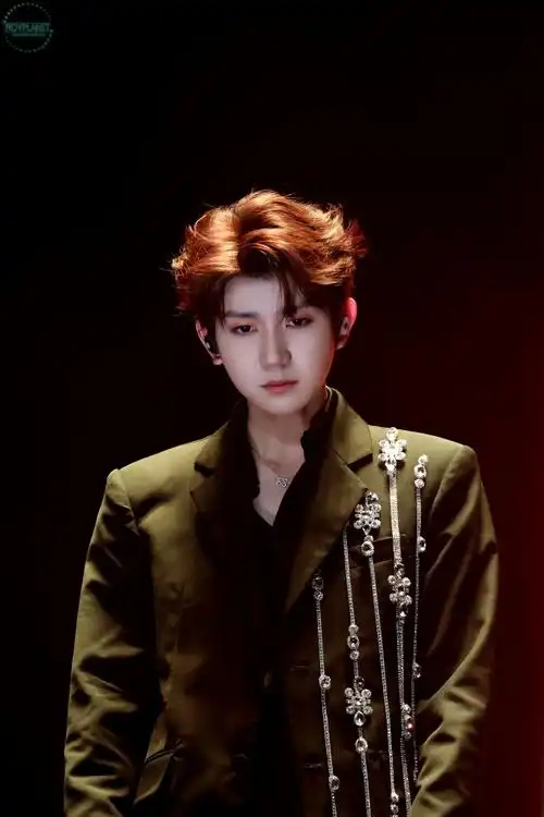 王源客厅狂欢巡演##王源用六年加了个不字