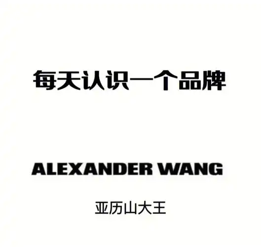 每天认识一个品牌亚历山大王