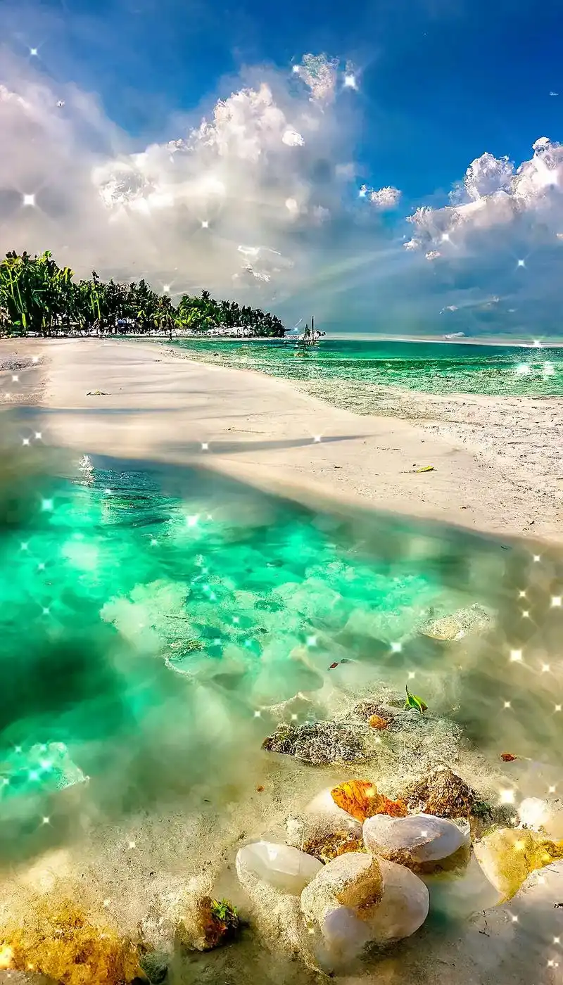 壁纸 桌面 1024_1792 竖版 竖屏 手机