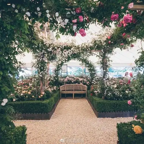奥斯汀每次在花展中布置的玫瑰园都是当之无愧最受欢迎的经典人