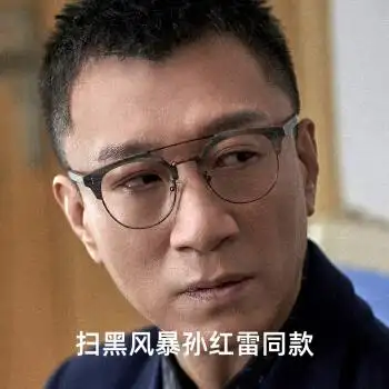 扫黑风暴孙红雷同款眼镜李成阳眼镜架复古时尚双梁大框眼镜框男潮镜架