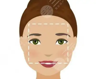 根据形态可以分为:长方形脸型,梯形脸型,圆形脸型,椭圆形脸型,菱形