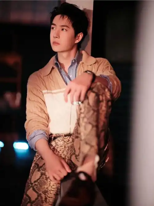 肖战王一博平安喜乐78