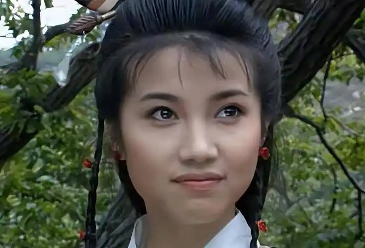 《甘十九妹》是早期武侠剧传播最广,最知名的武侠神剧,可以说是颜丙燕