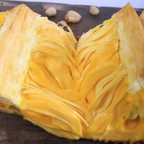 新鲜黄肉菠萝蜜 水果 海南三亚黄肉菠萝蜜大树菠萝 15-20斤