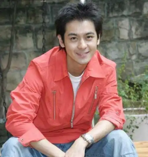 一张照片,揭穿双面人林志颖"残酷处境"