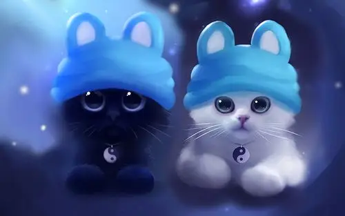 黑猫白猫手机锁屏壁纸