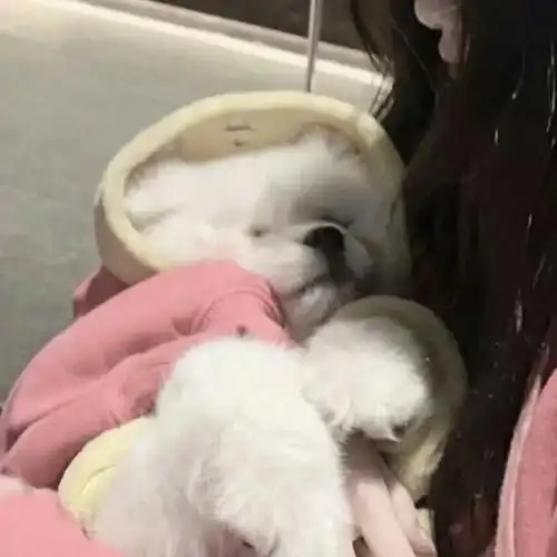 对象不是人系列情头