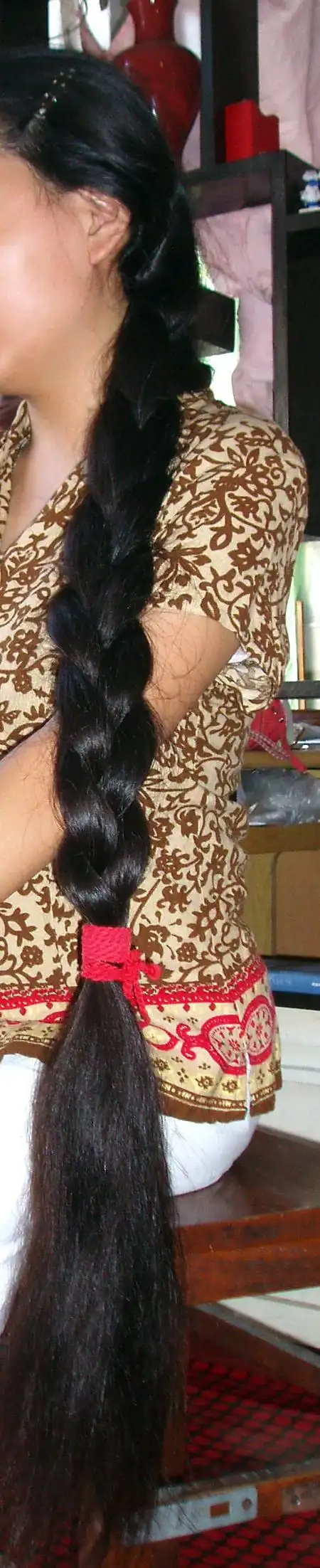 浓密粗厚的长发被编成了一条黑亮的大粗辫子