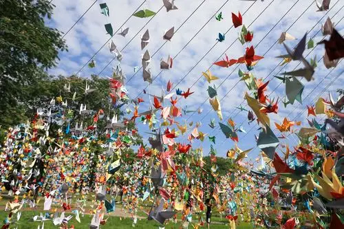 【毕业季】生命的绽放:万千纸鹤在这里翱翔