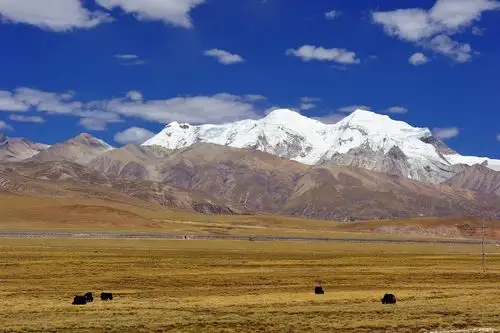 广袤的羌塘草原