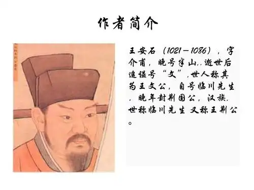 书湖阴先生壁ppt