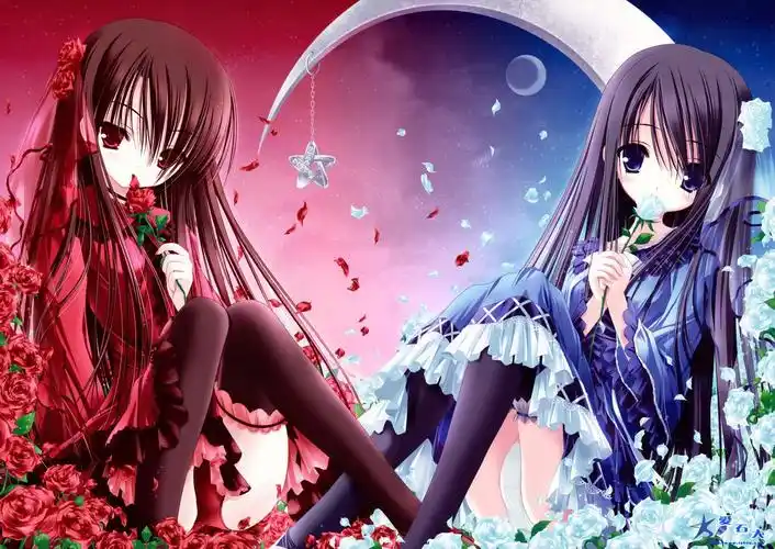 想求几个双生花的动漫图片,两个萝莉哦,注意是动漫