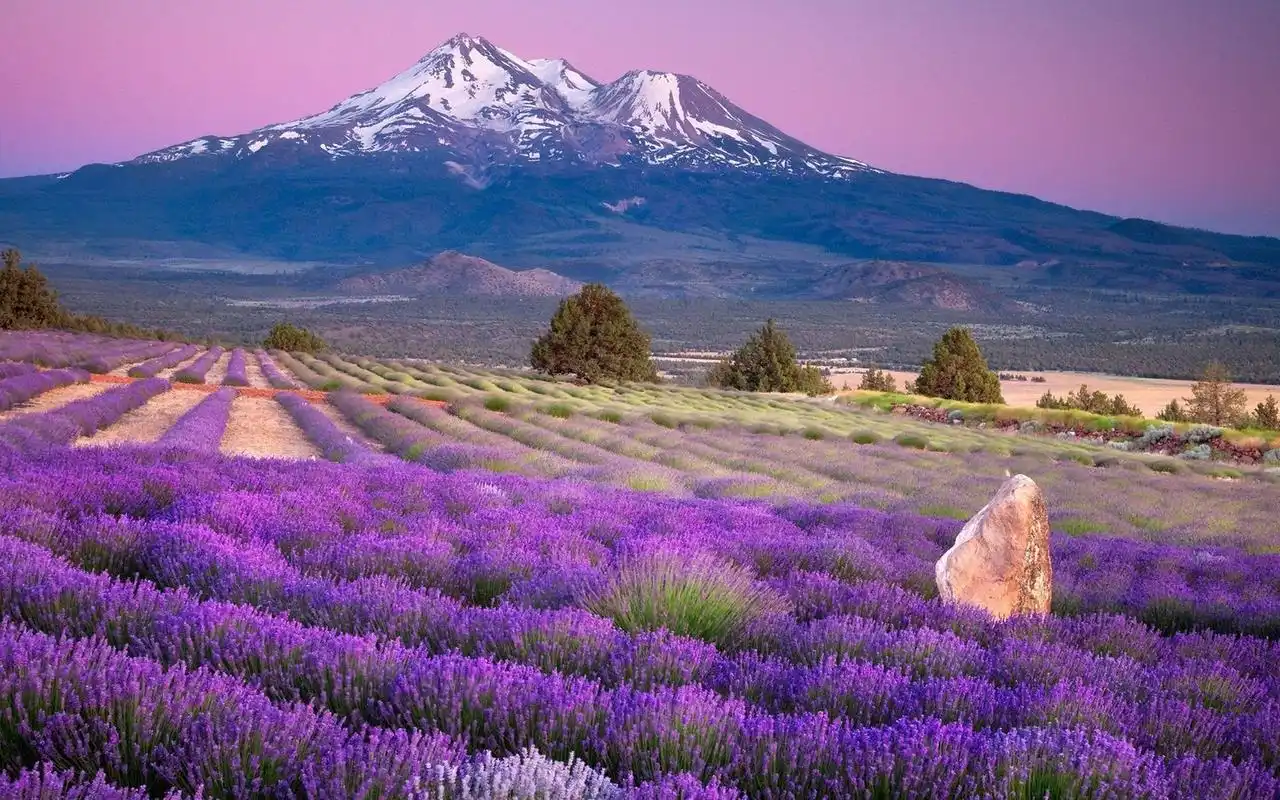 唯美图片电脑壁纸高清意境唯美风景壁纸lomo