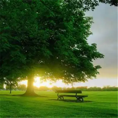 好风水微信风景头像 微信头像图片大全 -【爱个性】