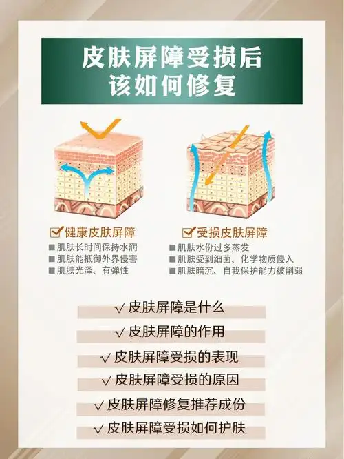 皮肤屏障受损有哪些表现受损后该如何修复