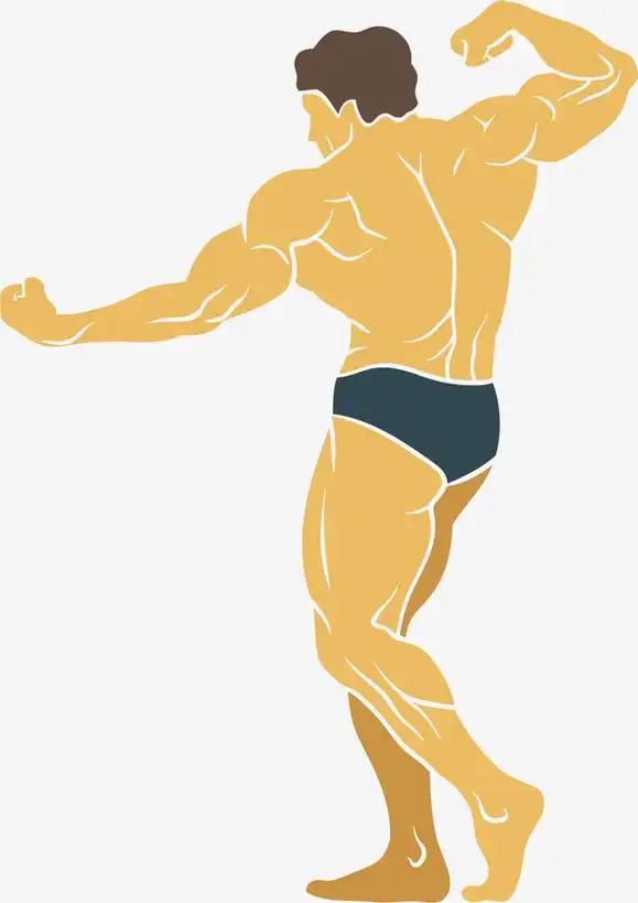 技巧大揭秘:如何科学减肥减脂?