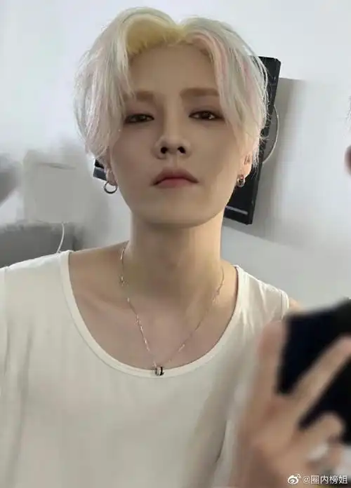 鹿晗染了彩色头发