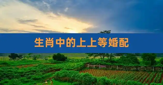 生肖中的上上等婚配,上等婚姻属相配对