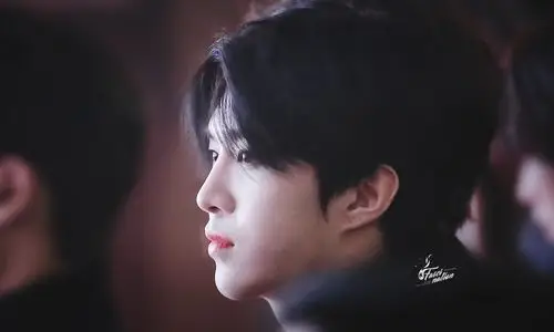 范丞丞/壁纸/ninepersent/侵权删