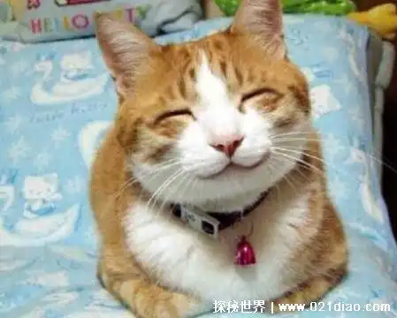 30个笑掉大牙的笑话,逗人笑的停不下来的幽默小段子