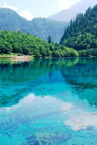 iphone 壁纸 山,湖,林,水中的倒影