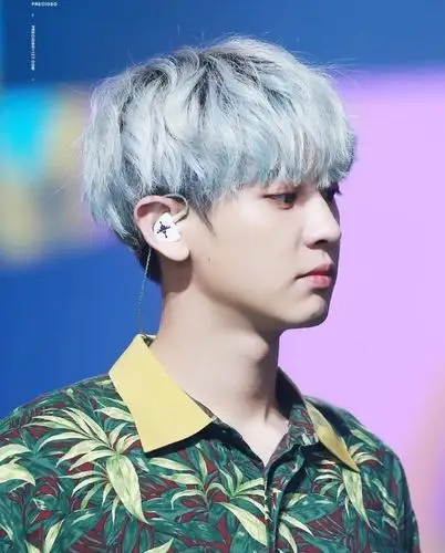 朴灿烈/超爱动物的爱心哥哥1 高清壁纸:我最爱的黄衣power 我最爱的