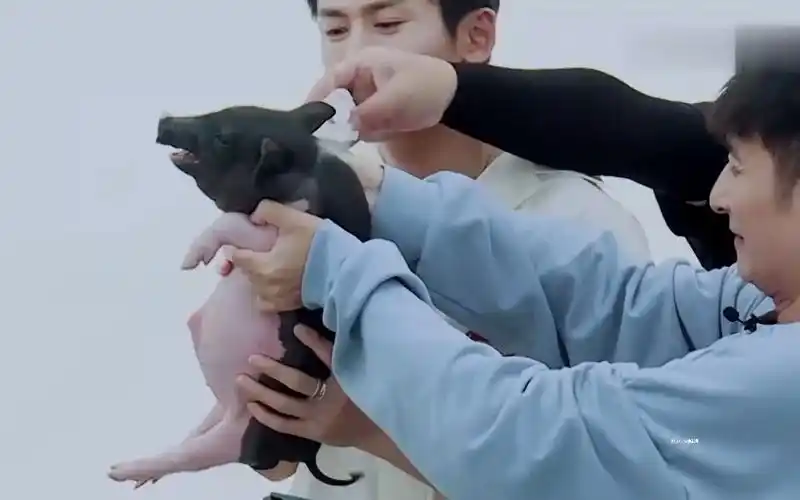 快乐大本营20210612期张哲瀚蒙头盲猜小动物