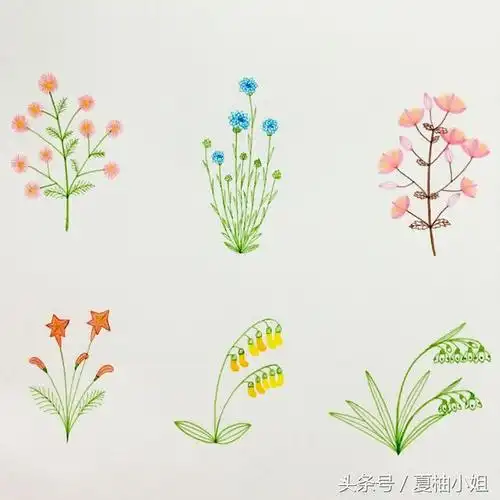 春天的植物简笔画花草,春天的植物儿童画_大山谷图库