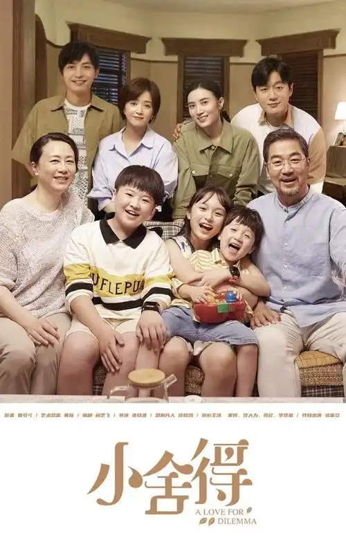 宋佳,佟大为等主演的电视剧《小舍得》剧情介绍与解读