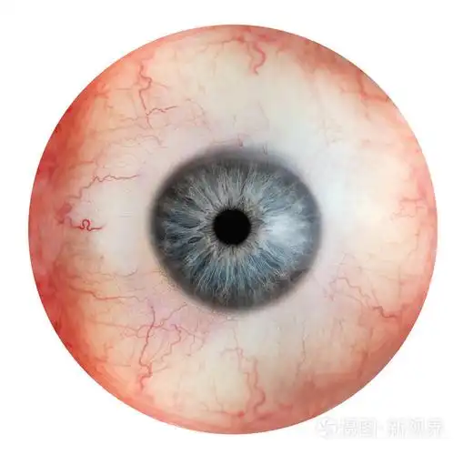 婴儿眼睛白眼球发蓝_婴儿白眼珠子发蓝_婴儿的眼睛白眼球是蓝色的