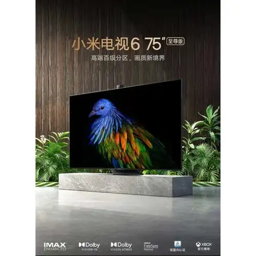 小米(mi)平板电视报价_参数_图片_视频_怎么样_问答-苏宁易购