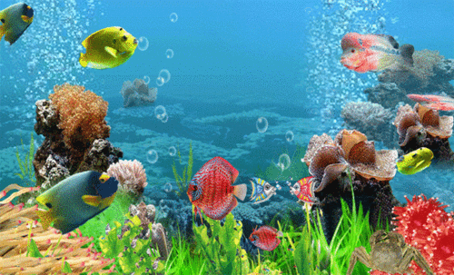 十米画卷——《鱼的线条》