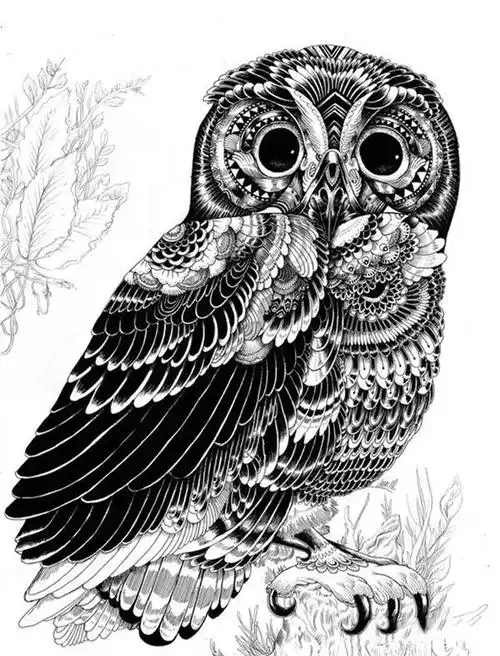 干货一百种能拿高分的纹样素材黑白装饰画