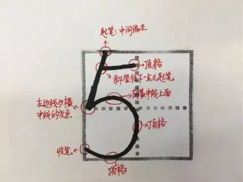 5的书写占格示例