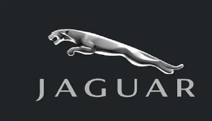 豹子车标是什么车