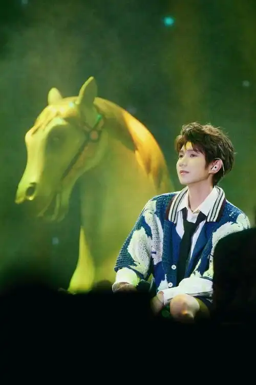 王源在鸟巢唱歌了  世界上没有真正的感同身受