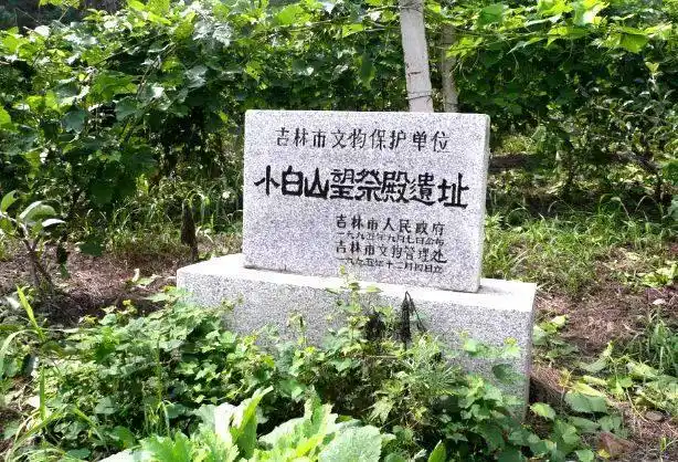 小白山莲花山景区山高林密,山脊保管着大片红松原始林,极具欣赏性.