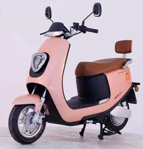 yd1200dt18d雅迪牌纯电动前盘式后盘式鼓式电动两轮摩托车