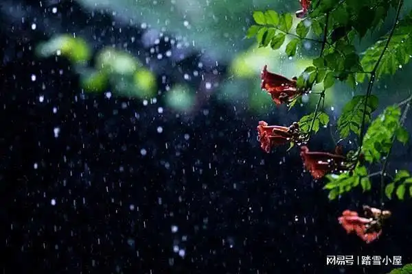 夏雨潇潇动心弦
