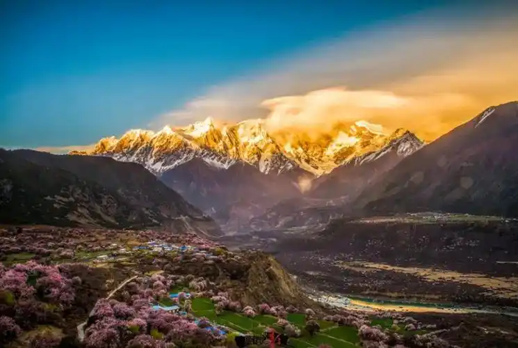 鲁朗林海导游联系方式,鲁朗镇正规导游,当地服务好的导游有哪些_西藏