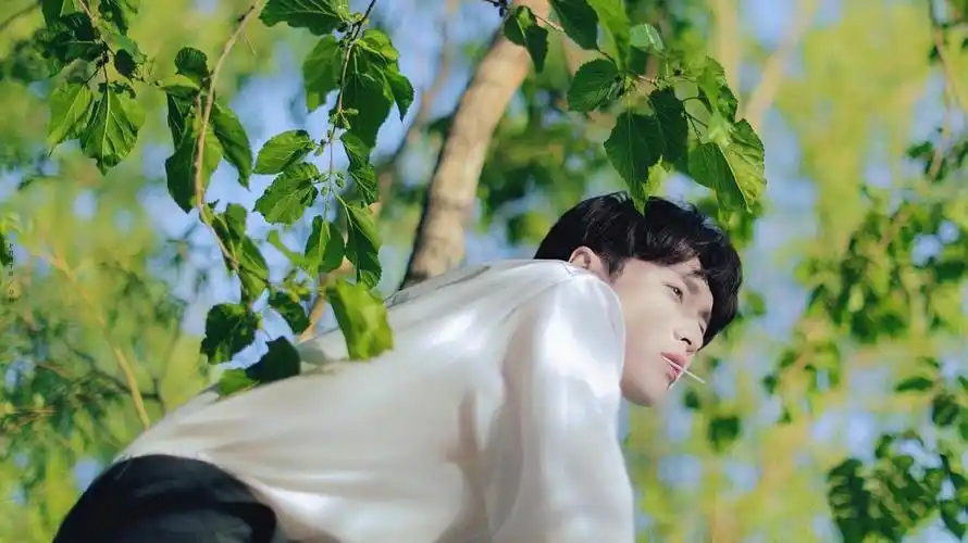 20210527张艺兴gq杂志