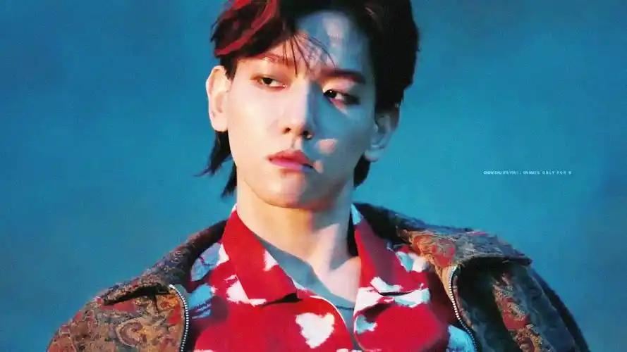 exo ko ko bop 边伯贤