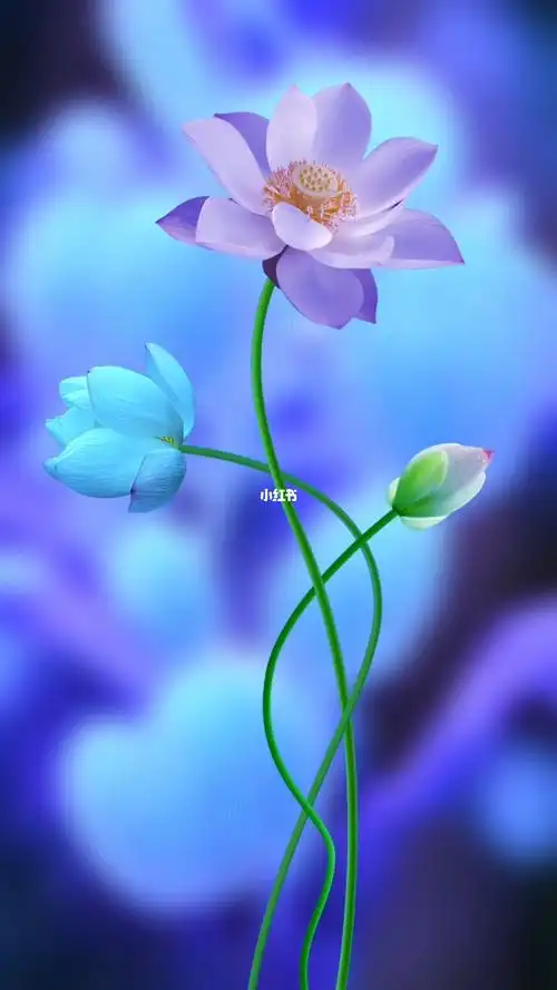 荷花  #治愈系  #动态壁纸  #唯美意境