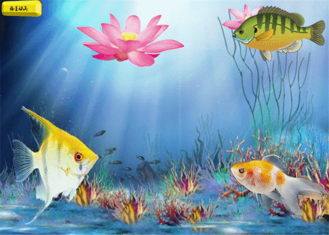 富贵有鱼【原创动画】 - 福星 - 福星的博客